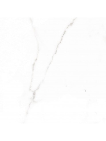 IMPERIAL PALATINA BLANCO BRILLO 60.5X60.5 1,46 IMPERIAL PALATINA BLANCO BRILLO 60.5X60.5 1,46