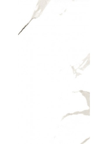 PL.CARRARA PG US 60*120 2.16m2 PL.CARRARA PG US 60*120 2.16m2