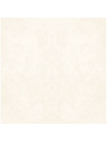 Ariman 60x60 mat beige 1.klasa Ariman 60x60 mat beige 1.klasa