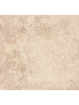 Ain Arena In/Out rec 60x60 1.kl 1,44